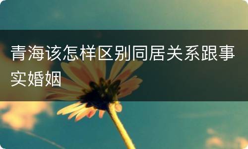 青海该怎样区别同居关系跟事实婚姻