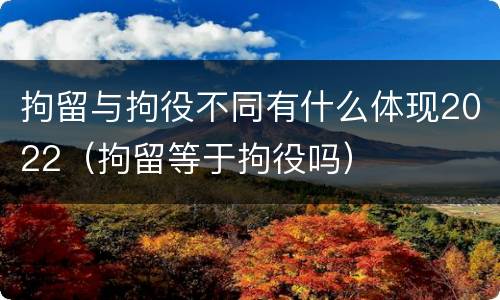 拘留与拘役不同有什么体现2022（拘留等于拘役吗）