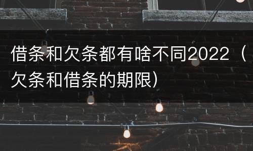 借条和欠条都有啥不同2022（欠条和借条的期限）