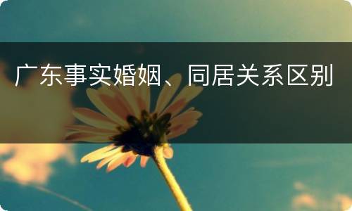 广东事实婚姻、同居关系区别