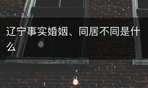 辽宁事实婚姻、同居不同是什么