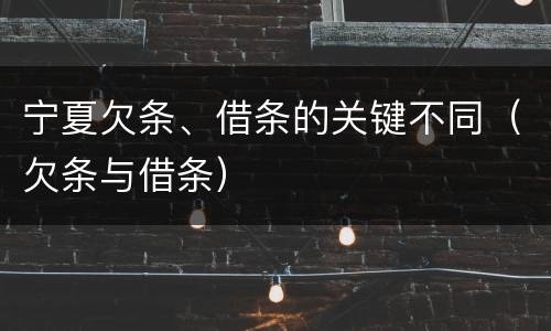 宁夏欠条、借条的关键不同（欠条与借条）