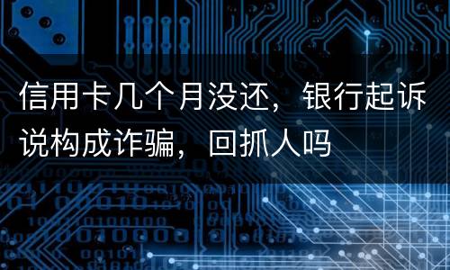 信用卡几个月没还，银行起诉说构成诈骗，回抓人吗