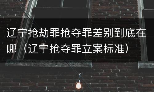 辽宁抢劫罪抢夺罪差别到底在哪（辽宁抢夺罪立案标准）