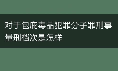 对于包庇毒品犯罪分子罪刑事量刑档次是怎样