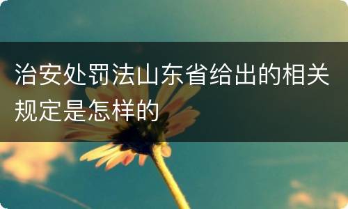 治安处罚法山东省给出的相关规定是怎样的