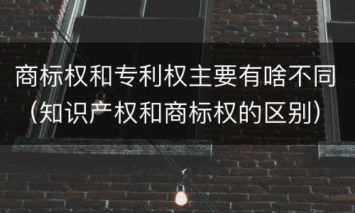 商标权和专利权主要有啥不同（知识产权和商标权的区别）