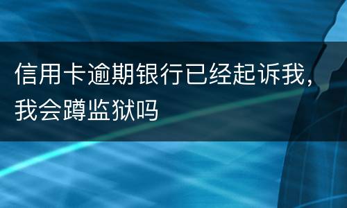 信用卡逾期银行已经起诉我，我会蹲监狱吗