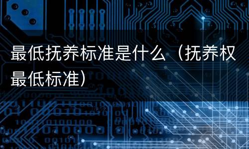 最低抚养标准是什么（抚养权最低标准）