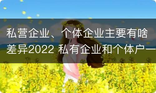私营企业、个体企业主要有啥差异2022 私有企业和个体户一样吗