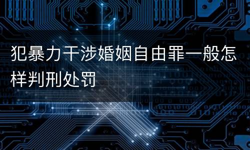 犯暴力干涉婚姻自由罪一般怎样判刑处罚