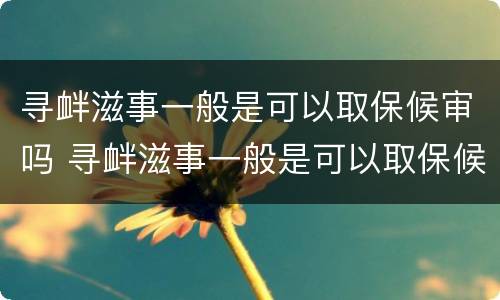 寻衅滋事一般是可以取保候审吗 寻衅滋事一般是可以取保候审吗