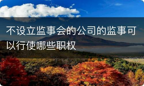 不设立监事会的公司的监事可以行使哪些职权