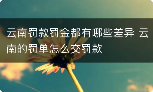 云南罚款罚金都有哪些差异 云南的罚单怎么交罚款