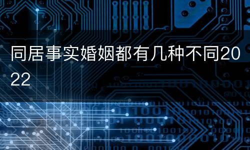 同居事实婚姻都有几种不同2022