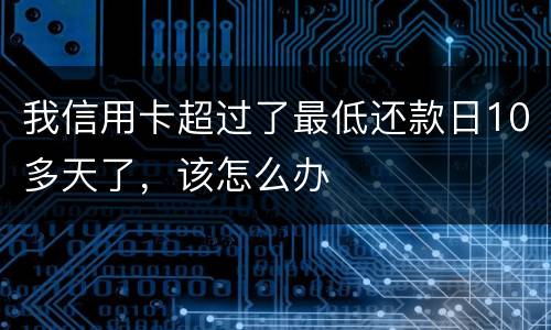 我信用卡超过了最低还款日10多天了，该怎么办