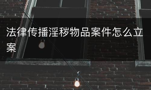 法律传播淫秽物品案件怎么立案