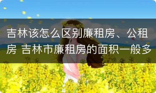 吉林该怎么区别廉租房、公租房 吉林市廉租房的面积一般多大