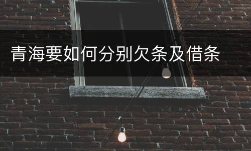青海要如何分别欠条及借条
