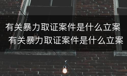 有关暴力取证案件是什么立案 有关暴力取证案件是什么立案的