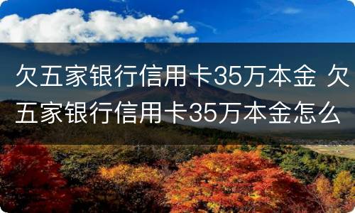 欠五家银行信用卡35万本金 欠五家银行信用卡35万本金怎么还