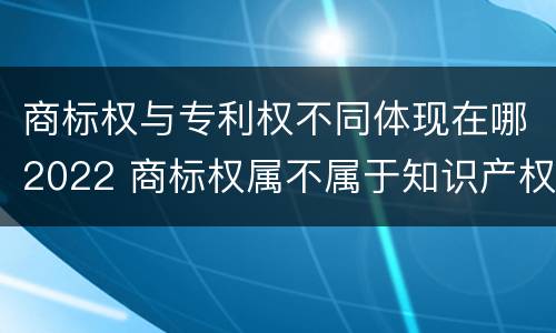 商标权与专利权不同体现在哪2022 商标权属不属于知识产权