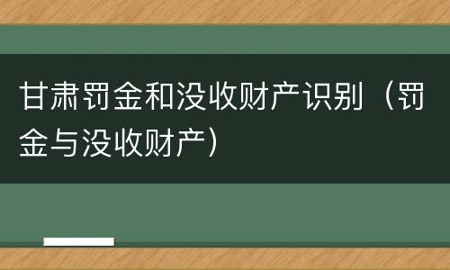 甘肃罚金和没收财产识别（罚金与没收财产）