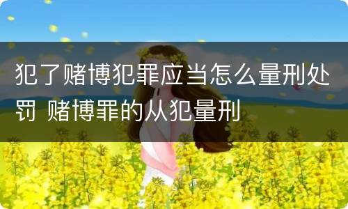 犯了赌博犯罪应当怎么量刑处罚 赌博罪的从犯量刑