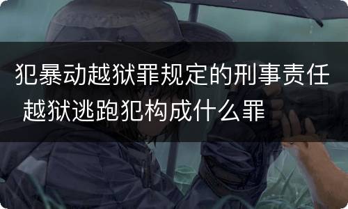 犯暴动越狱罪规定的刑事责任 越狱逃跑犯构成什么罪