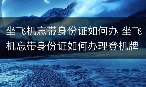 坐飞机忘带身份证如何办 坐飞机忘带身份证如何办理登机牌