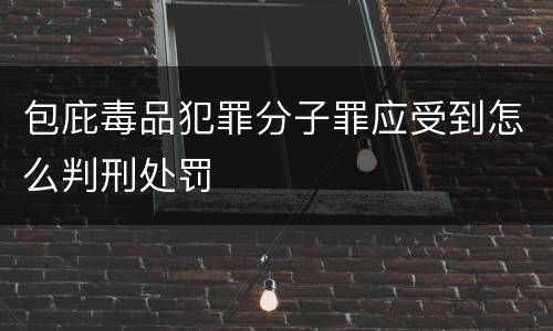 包庇毒品犯罪分子罪应受到怎么判刑处罚