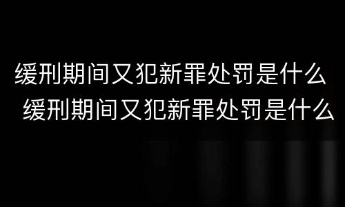 缓刑期间又犯新罪处罚是什么 缓刑期间又犯新罪处罚是什么情况