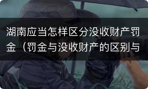 湖南应当怎样区分没收财产罚金（罚金与没收财产的区别与联系）