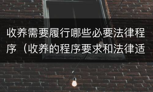 收养需要履行哪些必要法律程序（收养的程序要求和法律适用）
