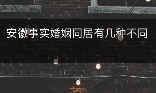 安徽事实婚姻同居有几种不同