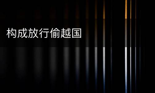 构成放行偷越国