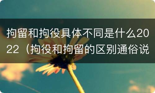 拘留和拘役具体不同是什么2022（拘役和拘留的区别通俗说法）