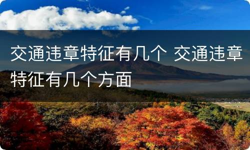 交通违章特征有几个 交通违章特征有几个方面
