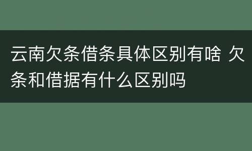 云南欠条借条具体区别有啥 欠条和借据有什么区别吗