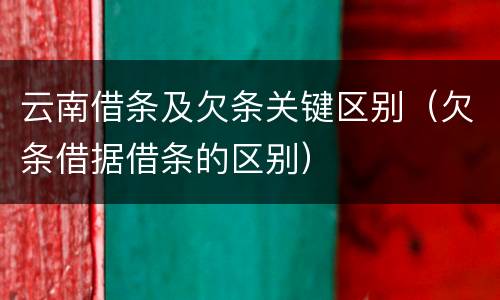 云南借条及欠条关键区别（欠条借据借条的区别）