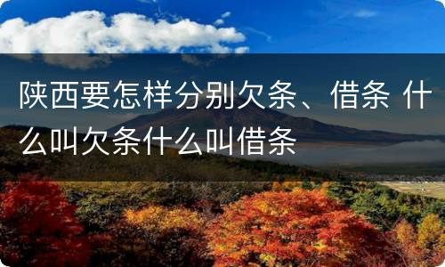 陕西要怎样分别欠条、借条 什么叫欠条什么叫借条