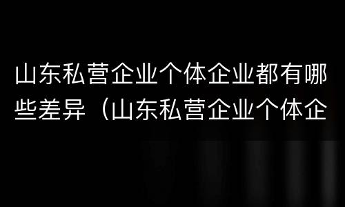 山东私营企业个体企业都有哪些差异（山东私营企业个体企业都有哪些差异呢）