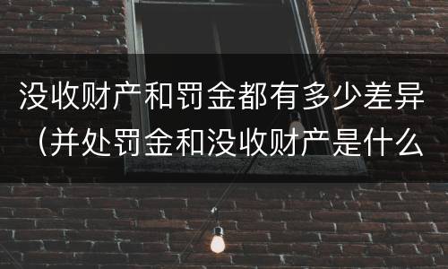 没收财产和罚金都有多少差异（并处罚金和没收财产是什么意思）