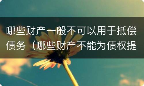 哪些财产一般不可以用于抵偿债务（哪些财产不能为债权提供抵押）