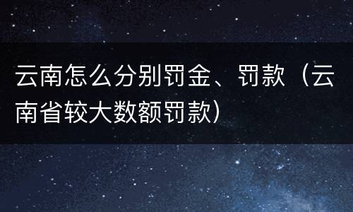 云南怎么分别罚金、罚款（云南省较大数额罚款）