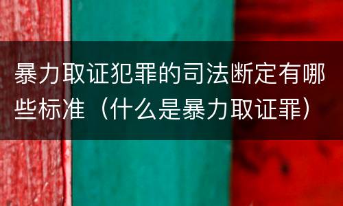 暴力取证犯罪的司法断定有哪些标准（什么是暴力取证罪）