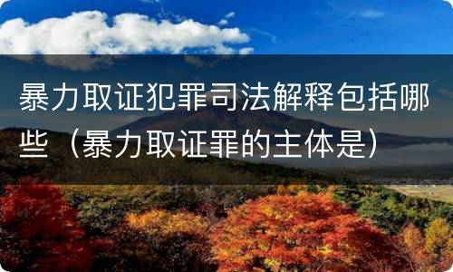 暴力取证犯罪司法解释包括哪些（暴力取证罪的主体是）
