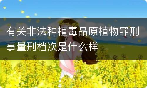 有关非法种植毒品原植物罪刑事量刑档次是什么样