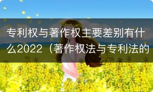 专利权与著作权主要差别有什么2022（著作权法与专利法的区别）