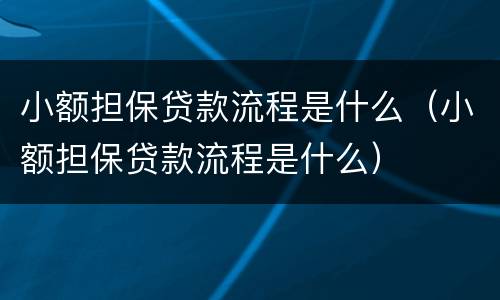 小额担保贷款流程是什么（小额担保贷款流程是什么）